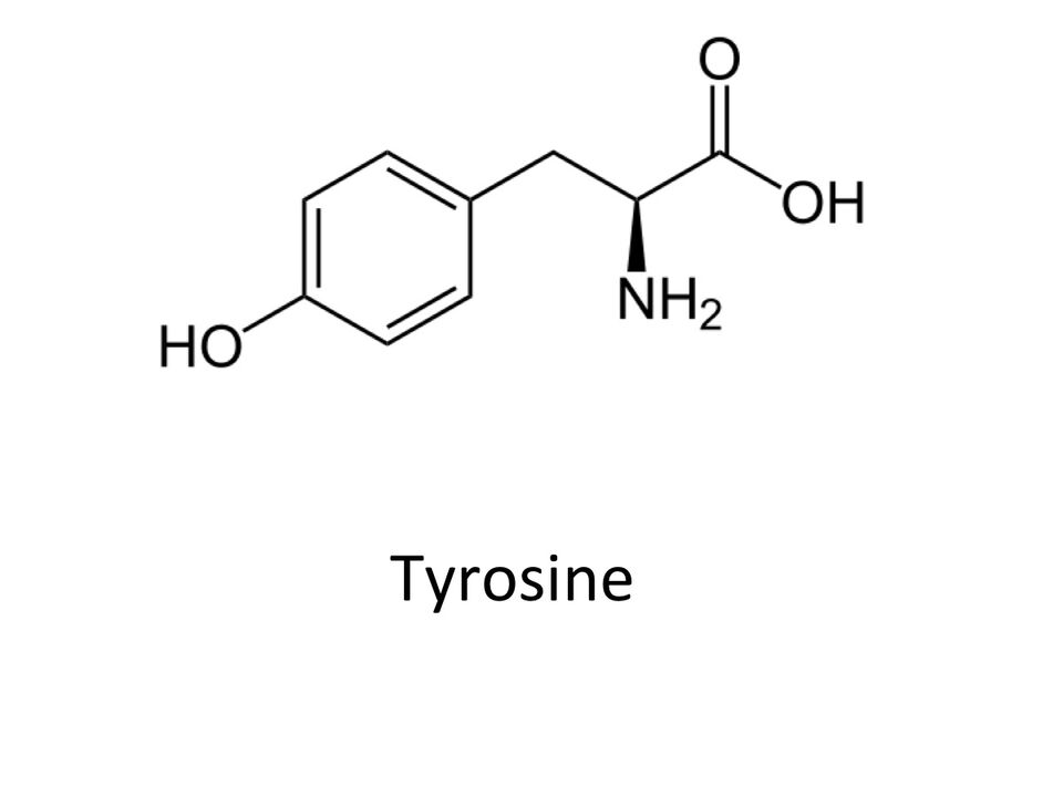 Tyrosin in zxcvbnmqwertt